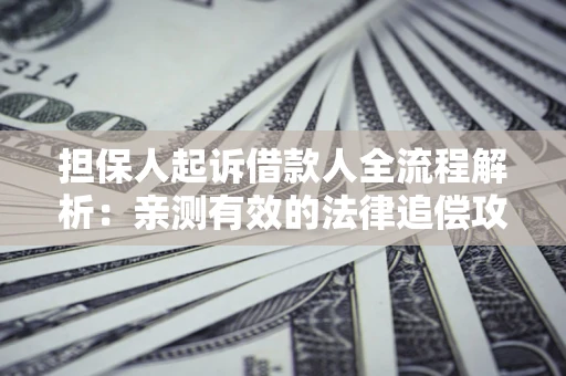 武汉担保人起诉借款人全流程解析：亲测有效的法律追偿攻略