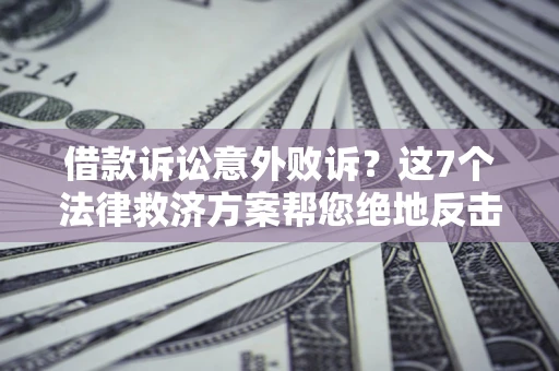武汉借款诉讼意外败诉？这7个法律救济方案帮您绝地反击！