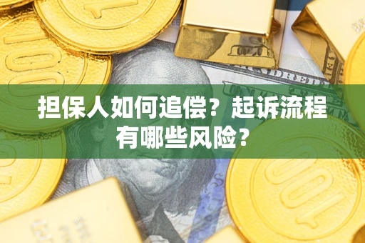 武汉担保人如何追偿？起诉流程有哪些风险？