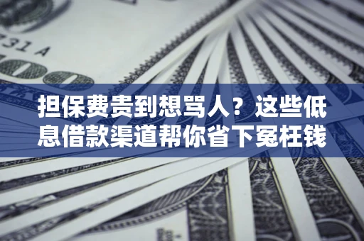 武汉担保费贵到想骂人？这些低息借款渠道帮你省下冤枉钱