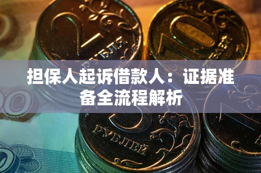 武汉担保人起诉借款人：证据准备全流程解析