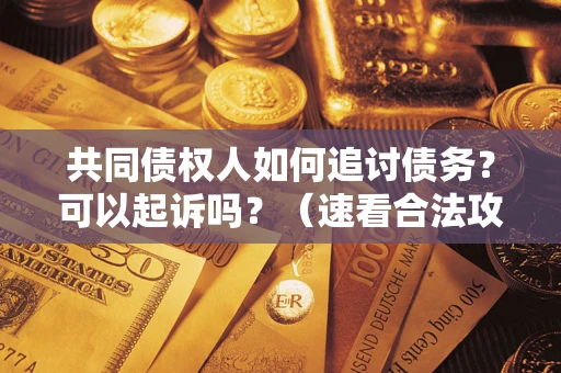 武汉共同债权人如何追讨债务？可以起诉吗？（速看合法攻略）