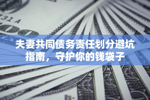 武汉夫妻共同债务责任划分避坑指南，守护你的钱袋子