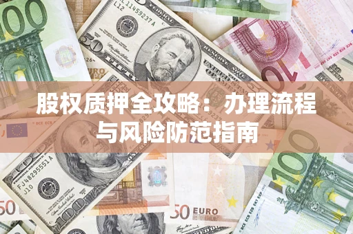 武汉股权质押全攻略：办理流程与风险防范指南